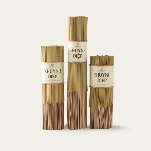 NHANG CÂY KHUYNH DIỆP