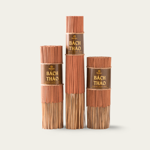 NHANG CÂY BÁCH THẢO