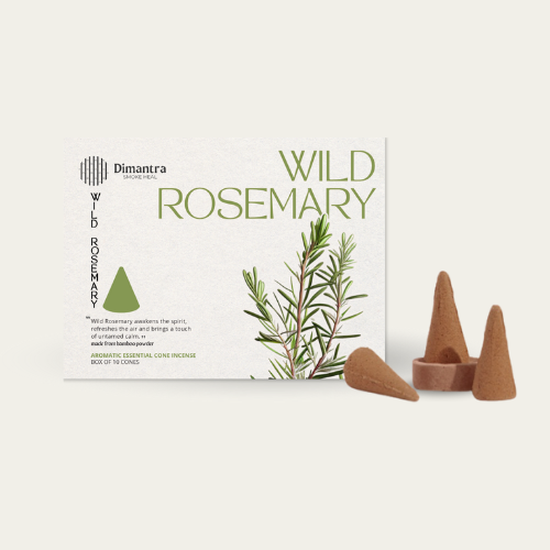 NHANG NỤ HƯƠNG THẢO