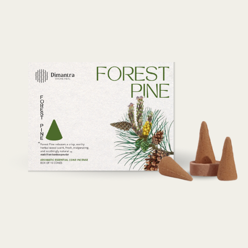 NHANG NỤ GỖ THÔNG