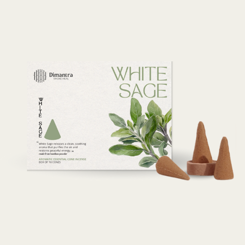 NHANG NỤ XÔ THƠM TRẮNG